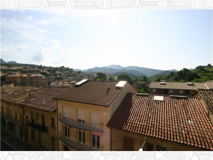 Apartament Sant Quirze De Besora Bagian luar foto